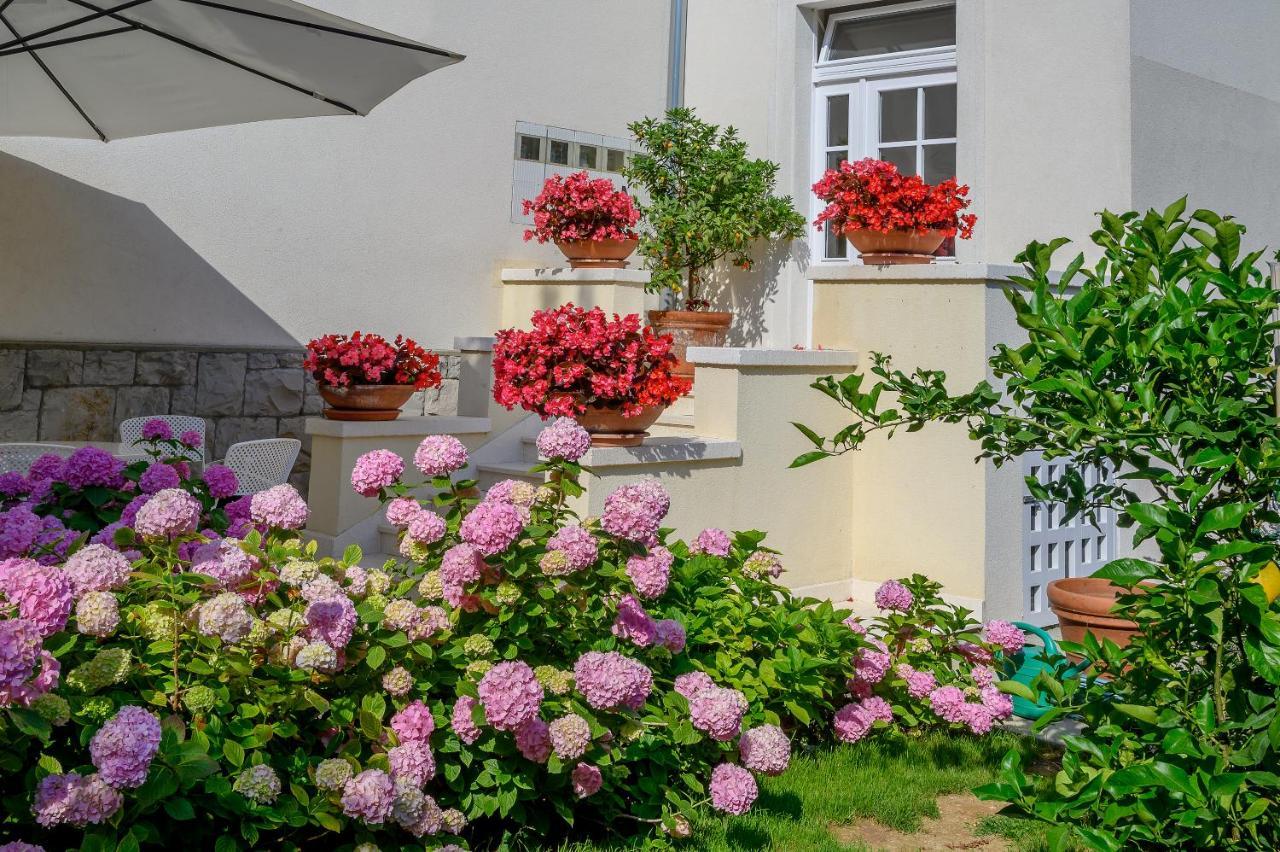 Palace Schoen Milesi - Esense Of Prestige - Private Pool - Free Parking - Old Money Style Luxury Rooms - Walking Distance To The Old Town, The Beach And All Amenities - Buralux Properties スプリト エクステリア 写真